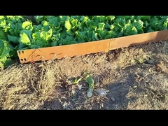 1SGS 000mm * 1.6mm * 100mm Tepi Perbatasan Baja Corten Galvanis Tepi Rumput Corten